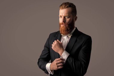 Zarif iş adamı kelepçeleri ayarlıyor. Smokin giyen sakallı iş adamı. Resmi kıyafet giymiş sakallı bir iş adamı. Kızıl saçlı İrlandalı adam stüdyosu Gri, kopyalama alanında izole edildi.