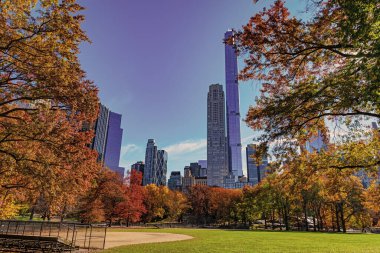- New York. New York. Central Park 'ta. Sonbahar manzaralı Central Park 'ta sonbahar şehri. Mevsimlik doğa gökdelen şehir manzaralı..