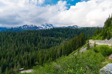 Büyüleyici orman. Kozalaklı orman ve yeşil yamaçlı vahşi dağda yaz günü. Çayırlı dağ manzarası. Bulutlu gökyüzü ile dağlık bir manzara. Manzaralı yeşil tepe.