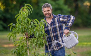 Ağaç dikmek için tohumlama. Bahçıvan bahçıvanlık. Baharda bahçıvan. Bahçesinde sulama kutusu olan bir adam. Şeftali ağacı suluyorum. Ağaç dikiyorum. Bahçecilik ve meyve bahçesi. Çiftçilik ve bahçıvanlık.