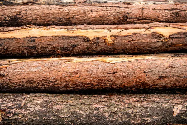 Kereste kesiyorum. Tahta arka plan. Ahşap kütüğün arka planı. Ağaç kütüğü kışa hazır. Tahta kütük arka planı. Yakacak odun odunu kesiyorum. Odunlar odun yığınıydı. Tahta hasatı..