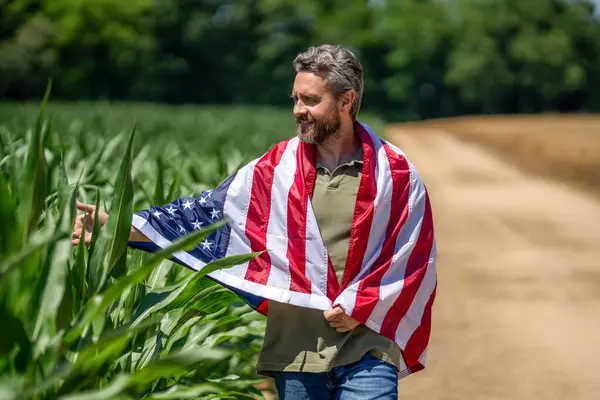 ABD bayrağı. Bağımsızlık Günü. Sahadaki adam. Sahada Amerikan bayrağı taşıyan vatansever adam. Amerika 'nın Bağımsızlık Günü. 4 Temmuz. İşçi bayramı. Amerikan bayrağı ve çiftçi adam, hasat zamanı. Gaziler Günü.