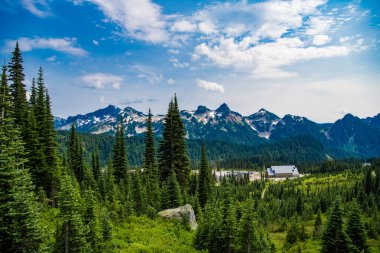 Manzara kozalaklı orman. Yeşil vadi manzarası. Çayırın doğa manzarası. Vadi ve dağ manzarası. Dağ vadisi. Ormanlı çam ağacı dağı manzarası. Görkemli dağ manzarası.