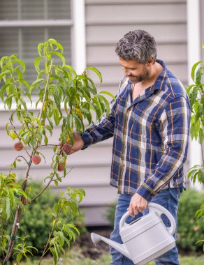 Ağaç dikiyorum. Bahçecilik ve meyve bahçesi. Ağaç dikmek için tohumlama. Bahçıvan bahçıvanlık. Baharda bahçıvan. Bahçesinde sulama kutusu olan bir adam. Şeftali ağacı suluyorum. Yeşil doğa.