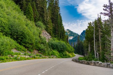 Dağ ve yol manzarası. Seyahat güzergahı. North Cascades Ulusal Parkı 'na peyzaj rotası. Turistik rota. Kuzey Şelaleleri Ulusal Parkı. Diablo gölüne giden yol dağ manzarasıyla dolu..