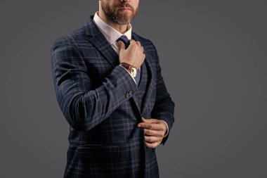 Bespoke takımı. Resmi erkek giyim konsepti. Formalite icabı giyinmiş bir adam. Şık takım elbiseli bir iş adamı. Gri kravatlı resmi takım elbise ceketi. Takım elbiseli bir iş adamı. Pankart.