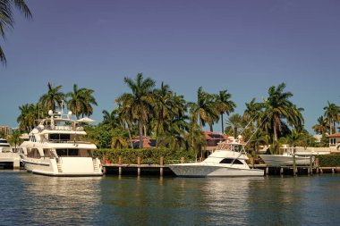 Sahil limanı yaz için mükemmel bir yer. Varış noktası. Deniz kenarındaki yaz mevsiminde yatı olan bir liman. Limanda teknesi ve palmiyesi olan bir deniz kenarı varış yeri. Görkemli yaz seyahati.
