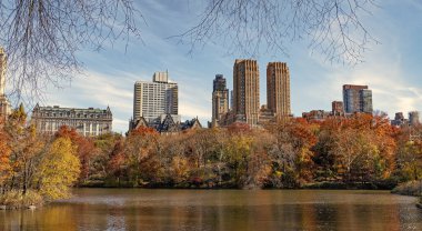 - New York. New York. Central Park 'ta. Doğanın sonbahar güzelliği. Şehir parkında doğa. Parkta sonbahar manzarası. Sonbahar manzarası. Doğa sonbahar manzarası. Central Park 'ta sonbahar sezonu. Mevsimlik şehir manzarası