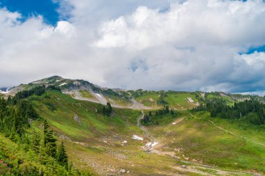 Çayırlı dağ manzarası. Bulutlu gökyüzü ile dağlık bir manzara. Yeşil Tepe Dağı manzaralı. Kozalaklı ormanlar ve yeşil yamaçlarla vahşi dağlarda resimli bir yaz günü..