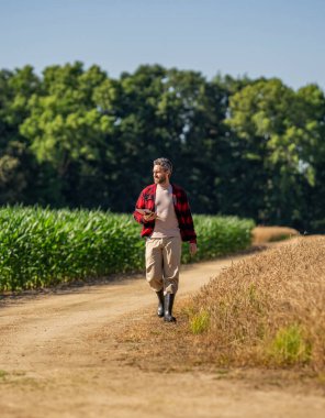 Tarlada tabletle çalışan çiftçi. Tablet çekli İspanyol çiftçi. Ekin hasadı. Tarlada tableti olan çiftçi tarımcı adam. Modern tarımın teknolojisi. Sonbahar hasat ödülü.