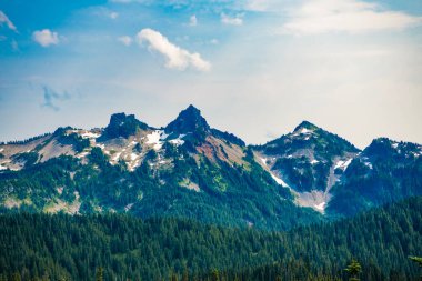 Dağlı orman doğası. Dağ kırsalında doğa. Dağ manzaralı bir yer. Manzara kozalaklı orman. Ormanlı çam ağacı dağı manzarası. Dağ manzarası. Seyahat hedefi.