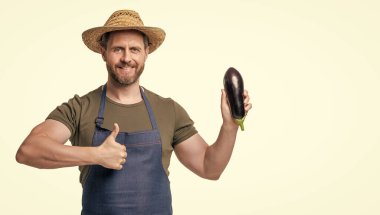 Önlüklü ve şapkalı bir adam. Patlıcan sebzeli. Beyaza izole edilmiş..