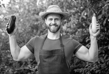 Patlıcan ve sebze iliğiyle mutlu bir manav..