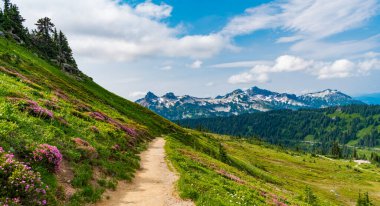 Resimli dağ manzarasında patika yürüyüş yolu. Orman ve çayır boyunca yürüyüş yolu. Dağ yolu sahnesi. Yürüyüş yolu olan dağ manzarası. Alplerde dağ yolu. Macera.
