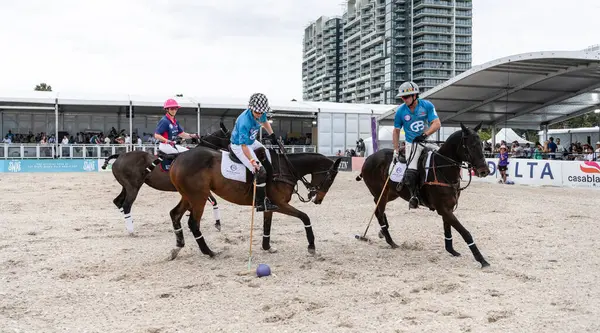 Miami Plajı, ABD-17 Kasım. 2024: Polo oyuncuları Dünya Polo Ligi Plajı 'nda oynuyorlar. Miami Beach, FL 'deki atların polo oyuncuları.