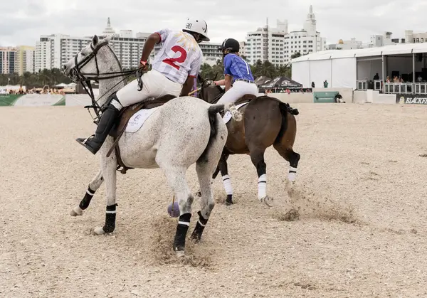Miami Plajı, ABD-17 Kasım. 2024: Polo oyuncuları Dünya Polo Ligi Plajı 'nda oynuyorlar. Miami Beach, FL 'deki atların polo oyuncuları.