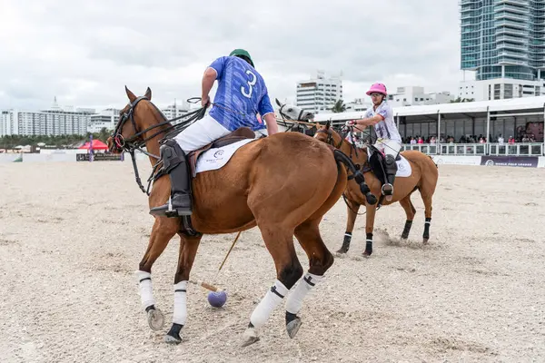 Miami Plajı, ABD-17 Kasım. 2024: Polo oyuncuları Dünya Polo Ligi Plajı 'nda oynuyorlar. Miami Beach, FL 'deki atların polo oyuncuları.