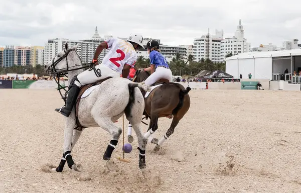 Miami Plajı, ABD-17 Kasım. 2024: Polo oyuncuları Dünya Polo Ligi Plajı 'nda oynuyorlar. Miami Beach, FL 'deki atların polo oyuncuları.