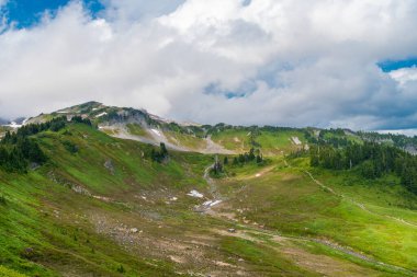 Çayırlı dağ manzarası. Bulutlu gökyüzü ile dağlık bir manzara. Yeşil Tepe Dağı manzaralı. Kozalaklı orman ve yeşil yamaçlı vahşi dağda yaz günü. Resimli manzara..