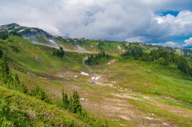 Kozalaklı orman ve yeşil yamaçlarla vahşi dağda nefes kesici bir yaz günü. Çayırlı dağ manzarası. Bulutlu gökyüzü ile dağlık bir manzara. Manzaralı yeşil tepe.