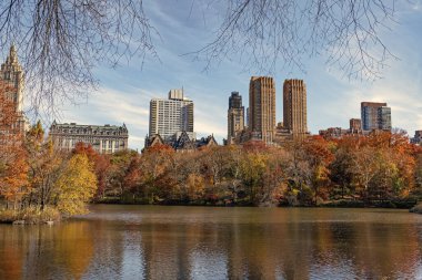 Şehir parkında doğa. Parkta sonbahar manzarası. Sonbahar manzarası. Doğa sonbahar manzarası. Central Park 'ta sonbahar sezonu. Sonbahar mevsiminde mevsimlik şehir manzarası. Doğanın sonbahar güzelliği. Aile gezileri.