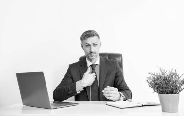 mature businessman sitting and presenting himself in business office.