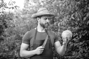 Hasat şapkalı adam lahanayı bıçakla kesti..