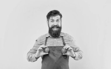 Happy man in apron holding fresh limes citrus fruits yellow background, greengrocer.