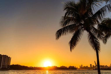 Miami gün batımı. Gökdelen binası. Şehir manzarası, bina ile birlikte gün batımı. Şehir mimarisi. Avuç içi ve gün doğumu. Yaz tatili. Miami silueti. Miami 'nin gündoğumu. Palmiye ağacıyla şehrin ufuk çizgisi.