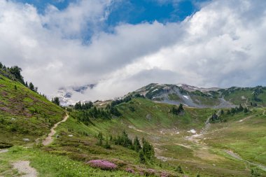 Kozalaklı orman ve yeşil yamaçlarla vahşi dağda nefes kesici bir yaz günü. Çayırlı dağ manzarası. Bulutlu gökyüzü ile dağlık bir manzara. Manzaralı yeşil tepe.