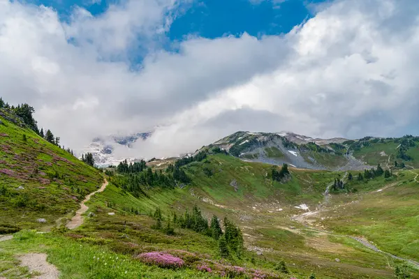 Kozalaklı orman ve yeşil yamaçlarla vahşi dağda nefes kesici bir yaz günü. Çayırlı dağ manzarası. Bulutlu gökyüzü ile dağlık bir manzara. Manzaralı yeşil tepe.
