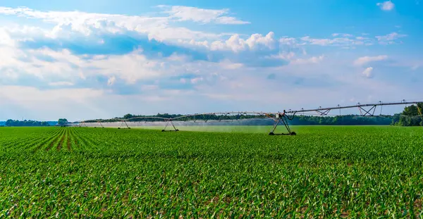 Hidrofonik sebze çiftliği. Tarım arazisindeki pivot sulama sistemi. Çiftçilik ve tarım. Ekin tarlası sulama. Tarım sulama sistemi ekin tarlalarını suluyor. Toprak hazırlığı.