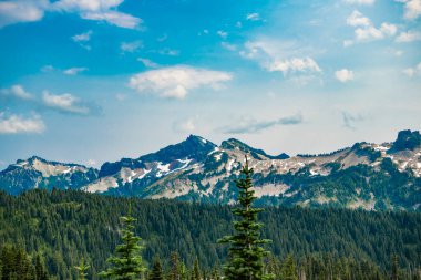 Dağ manzaralı bir yer. Manzara kozalaklı orman. Çam ağacı ve dağ orman manzarası. Dağ manzarası. Orman Doğa Dağı. Dağ kırsalında doğa. Nefes kesici vahşi doğa..