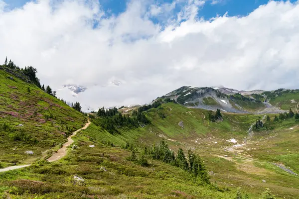 Çayırlı dağ manzarası. Bulutlu gökyüzü ile dağlık bir manzara. Yeşil Tepe Dağı manzaralı. Seyahat güzergahı. Kozalaklı orman ve yeşil yamaçlarla vahşi dağlarda nefes kesici bir yaz günü..