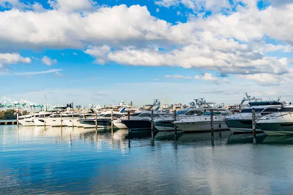 Limanda kiralık bir yat. Yat marinası. Lüks yat kiralama. Miami limanı marinası. Yazın lüks bir yat gezisi. Miami plajına demir atmış bir yat. Marina lüks şehir manzarası. Lüks yaşam tarzı..