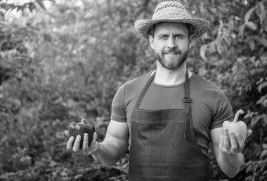 man greengrocer in straw hat with sweet pepper. copy space.