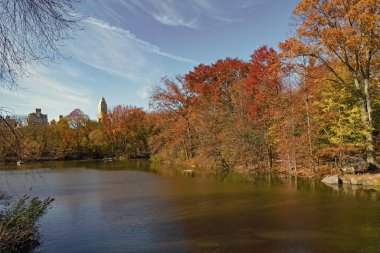 - New York. New York. Sonbaharda Central Park mevsimlik resim sahnesi. Sonbahar sezonu. Sonbahar havuzu. Şehir parkında doğa. Park 'ta sonbahar gölü. Sonbahar manzarası. Doğa sonbahar manzarası. Sonbahar sezonu