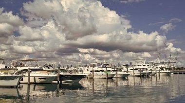 Yaz tekne tatili. Miami yat turu. Yazın yat tatili. Marina körfezi. Deniz marinasında lüks bir karavan yatı. Navigasyon yatı. Miami sahiline demir atmış özel lüks bir tekne. Yat tatili.