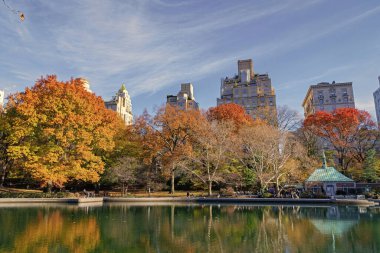 New York City, ABD - 20 Kasım 2023: Güzel şehir manzarası ve doğa ile sonbahar şehri manzarası. NYC 'de sonbahar.