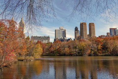 Parkta sonbahar manzarası. Sonbahar manzarası. Doğa sonbahar manzarası. Central Park 'ta sonbahar sezonu. Sonbahar mevsiminde mevsimlik şehir manzarası. Doğanın sonbahar güzelliği. Şehir parkında doğa. Sonbahar ışığı.