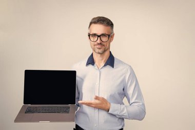 Online pazarlama müdürü. İş başarısı. CEO müdürü iş adamı Grey 'de izole edilmiş. Video konferansı. Bilgisayarı kullanan başarılı bir iş adamı. İşadamı internette çalışıyor. Serbest platform.