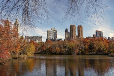 Sonbahar manzarası. Doğa sonbahar manzarası. Central Park 'ta sonbahar sezonu. Sonbahar mevsiminde mevsimlik şehir manzarası. Doğanın sonbahar güzelliği. Şehir parkında doğa. Parkta sonbahar manzarası. Piknik noktaları.