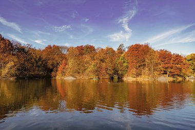 Göletteki tekne. Sonbahar doğa manzarası. Central Park 'ta sonbahar doğası. Mevsimlik sonbahar manzarası. Sonbahar göletine park teknesi, New York. Manzaralı düşüş. Sonbaharda Central Park 'ta. Sonbahar manzarası. NYC 'de kürek çekmek.