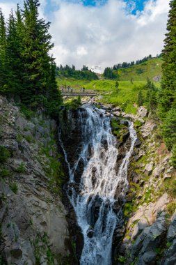 Şelale manzarası. Doğa seyahati. Şelale yolu. Seyahat güzergahı. Myrtle şelale rotasını takip ediyor. Rainier Dağı ulusal park dağ doğa manzarası.