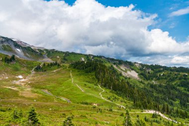 Çayırlı dağ manzarası. Bulutlu gökyüzü ile dağlık bir manzara. Yeşil Tepe Dağı manzaralı. Seyahat güzergahı. Kozalaklı orman ve yeşil yamaçlarla vahşi dağlarda nefes kesici bir yaz günü..