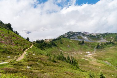 Yeşil Tepe Dağı manzaralı. Kozalaklı ağaç ve yeşil yamaçlı vahşi dağda huzurlu bir yaz günü. Çayırlı dağ manzarası. Bulutlu gökyüzü ile dağlık bir manzara. Gezgin şehvet ve macera.