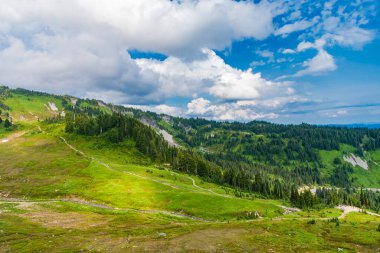 Kozalaklı orman ve yeşil yamaçlarla vahşi dağda nefes kesici bir yaz günü. Çayırlı dağ manzarası. Bulutlu gökyüzü ile dağlık bir manzara. Manzaralı yeşil tepe.
