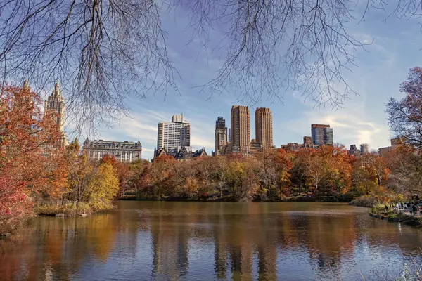 - New York. New York. Central Park 'ta. Doğa sonbahar manzarası. Central Park 'ta sonbahar sezonu. Sonbahar mevsiminde mevsimlik şehir manzarası. Doğanın sonbahar güzelliği. Şehir parkında doğa. Parkta sonbahar manzarası