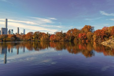 Göletli sonbahar manzarası. Sonbahar doğa manzarası. Central Park 'ta sonbahar doğası. Mevsimlik sonbahar manzarası. Sonbahar ağacını ve göleti New York 'a park et. Manzaralı düşüş. Sonbaharda Central Park 'ta. Renkler değişiyor.