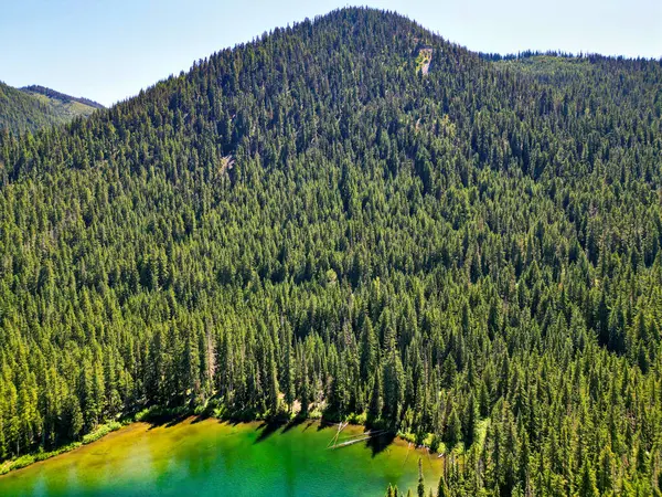 Cooper gölü ve dağ manzarası. Cooper Gölü 'nün dağ ve orman manzarası. Doğa manzarası. Washington 'daki Cooper Gölü. Cooper Gölü 'nün popüler doğa yürüyüşü.